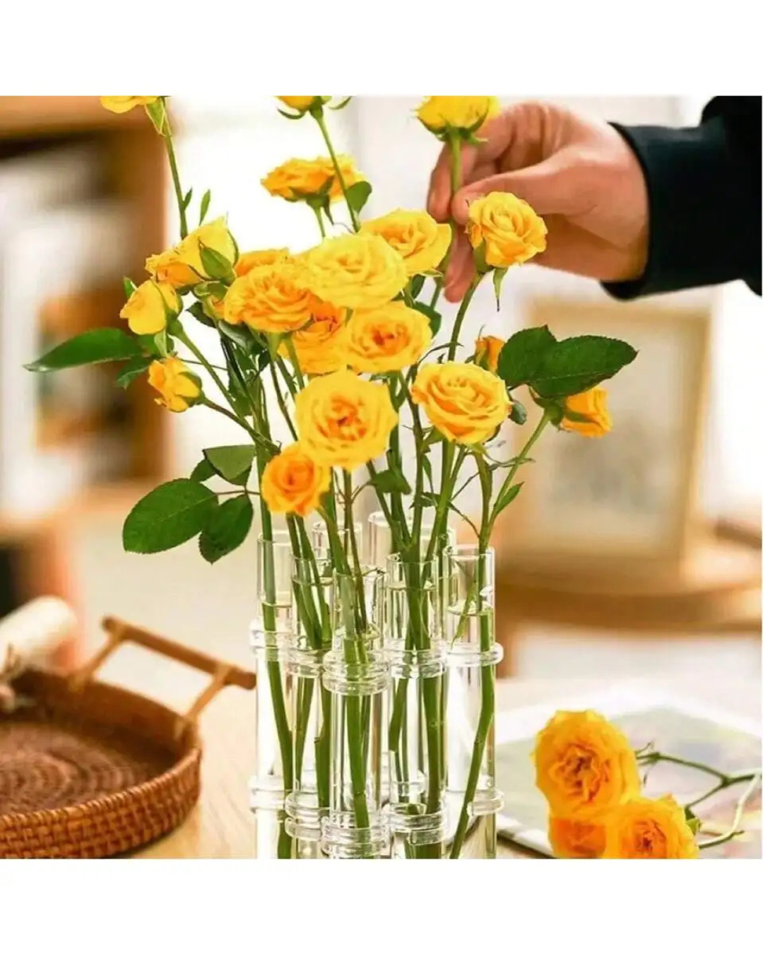 Vasos de Vidro Suspensos para Plantas Kit 4 ou 6 Unidades