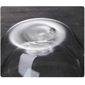 Copo de Vidro de Parede Dupla com Isolamento Térmico