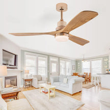 Ventilador de Teto Moderno Estilo Nórdico com Controle Remoto e iluminação - ZenithBreeze Titanium