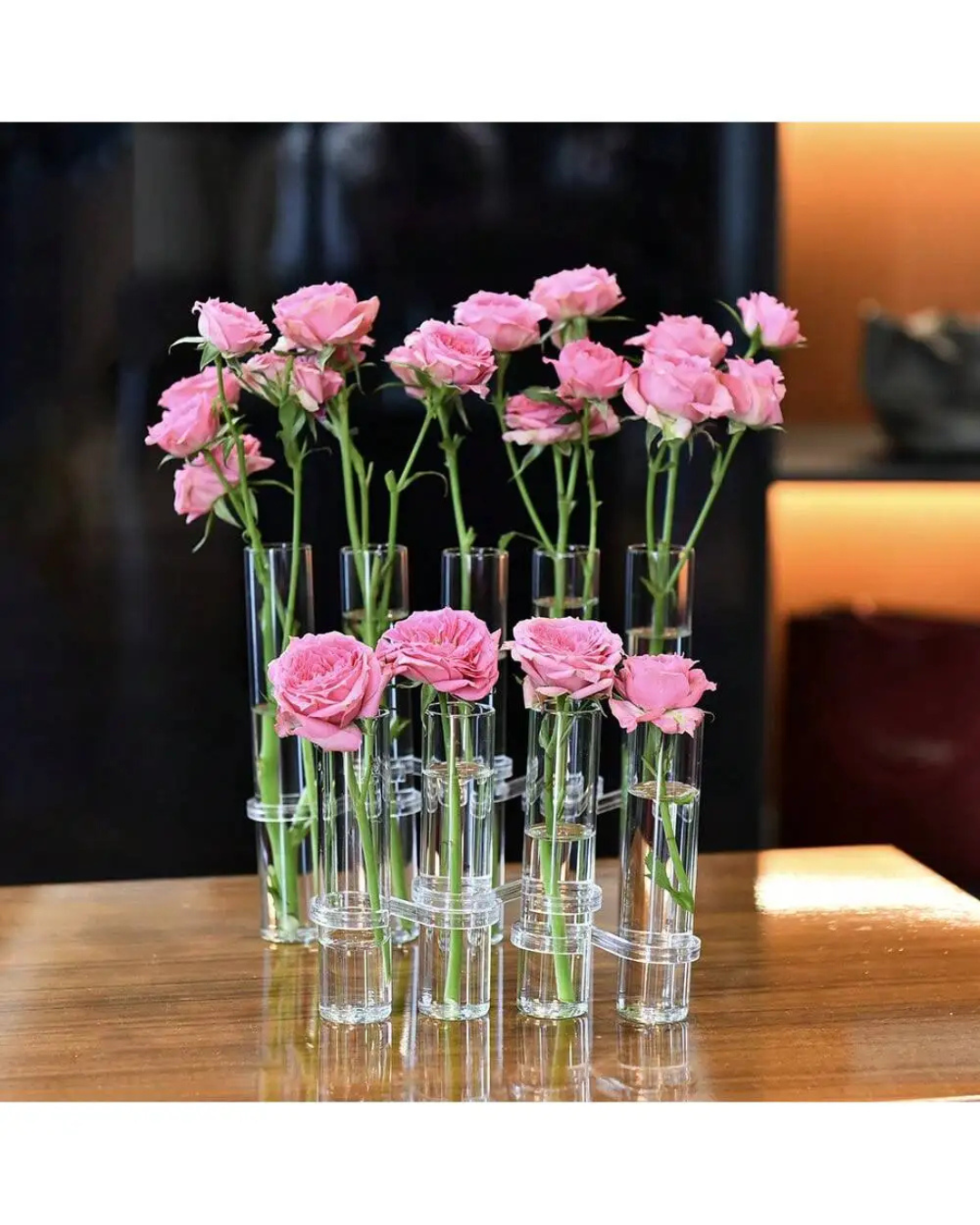 Vasos de Vidro Suspensos para Plantas Kit 4 ou 6 Unidades